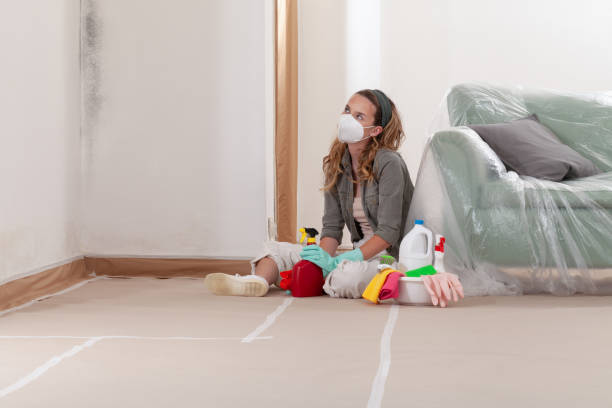 Reliable Mold Remediation contractor in Centereach, NY by Cheap Mold Removal